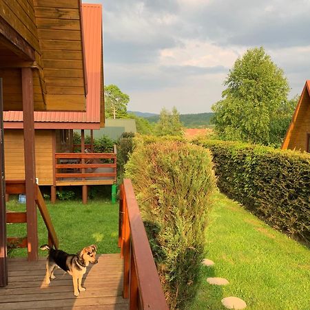 Domki Nad Solina Czarny Kot 509-797-777 外观 照片