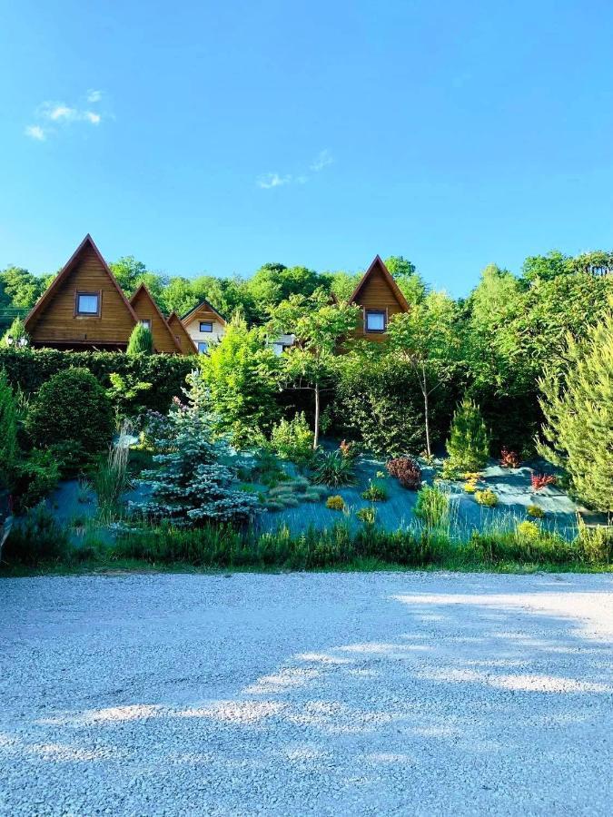 Domki Nad Solina Czarny Kot 509-797-777 外观 照片