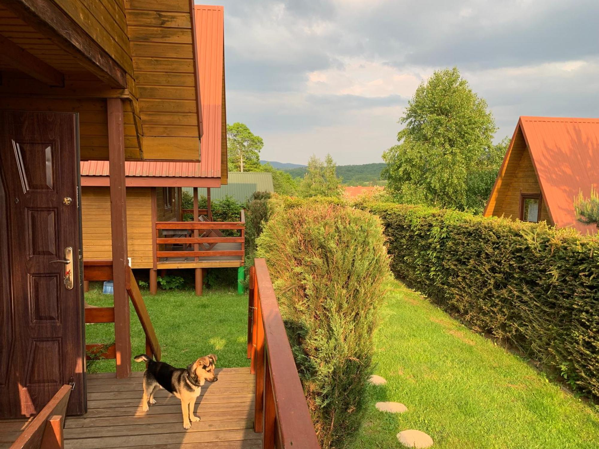 Domki Nad Solina Czarny Kot 509-797-777 外观 照片