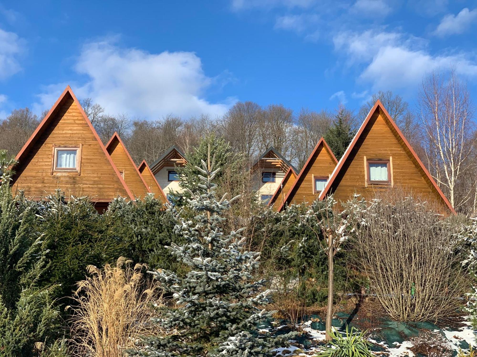 Domki Nad Solina Czarny Kot 509-797-777 外观 照片