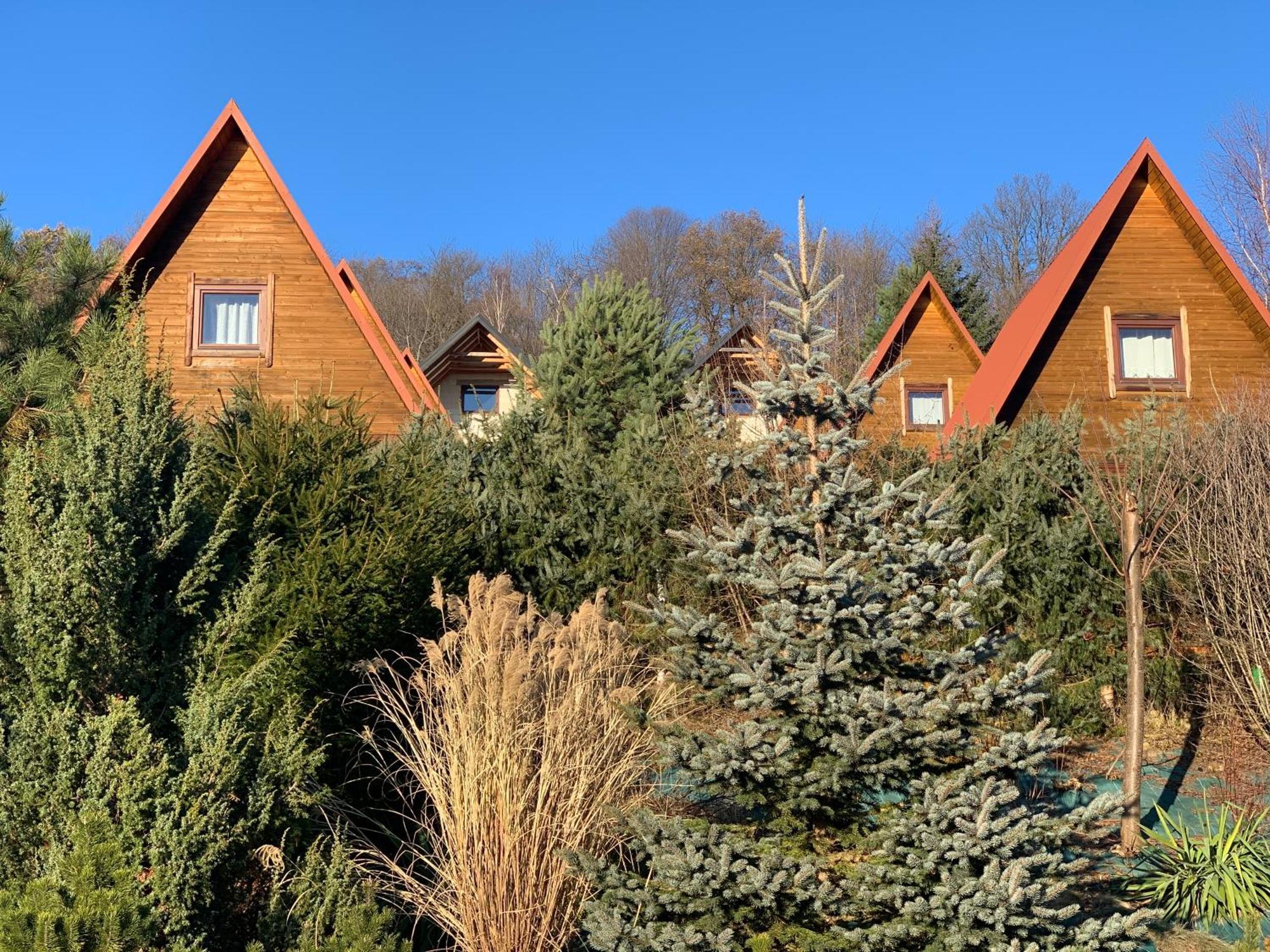 Domki Nad Solina Czarny Kot 509-797-777 外观 照片