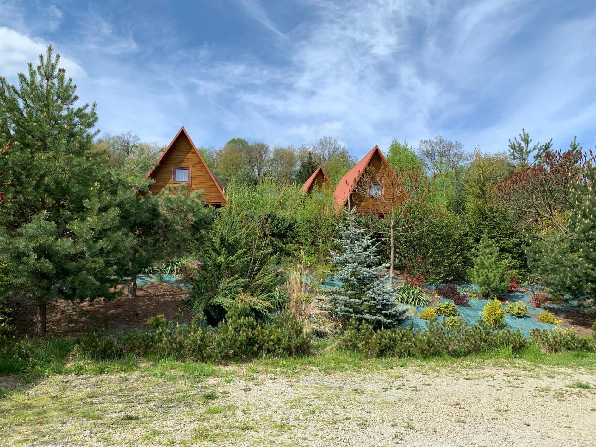 Domki Nad Solina Czarny Kot 509-797-777 外观 照片